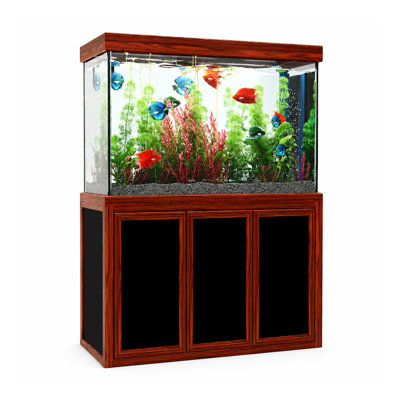 50 Gallons Rectangle Aquarium Tank