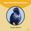 Mât télescopique mauve robuste de 12 pi Birds Choice