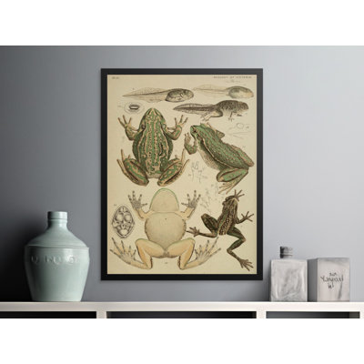 Beth No Frame Print