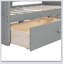 Canopy Day Bed With 2 Drawers-216479511