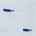 Whale Stripe