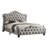 Upholstered Tufted Panel Bed With Nailheads In Grey-514369495-489759628