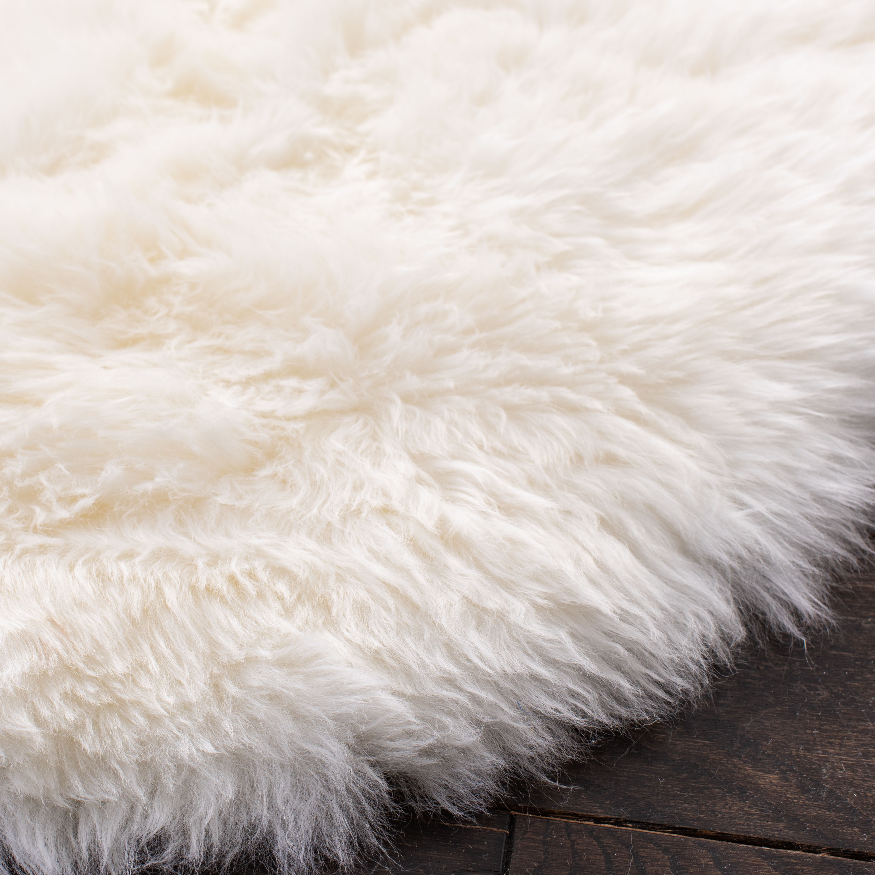 AllModern Mera Handmade Sheepskin White Area Rug & Reviews Wayfair