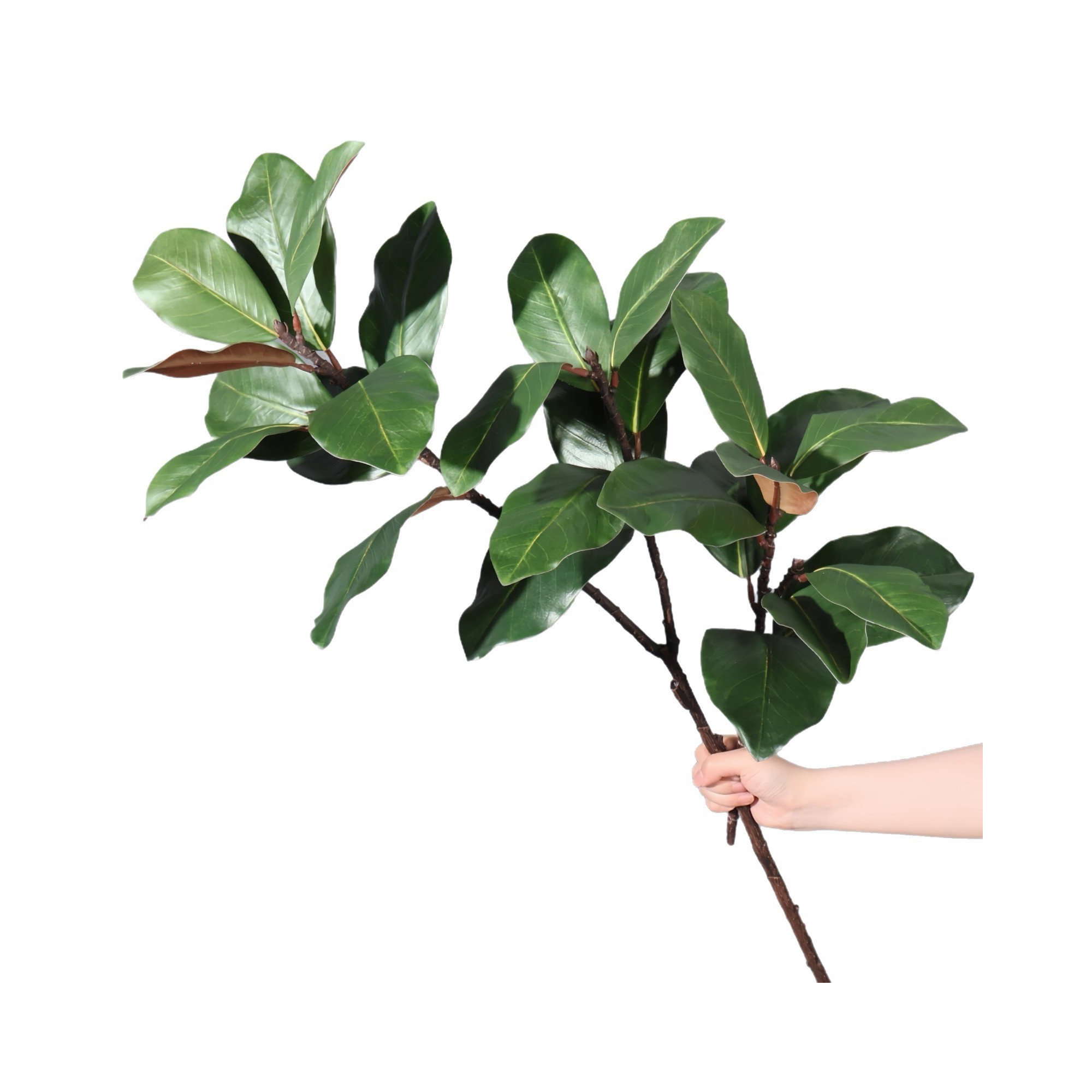 Artificial Green Magnolia Leaf Spray For Vase Filler, Faux Magnolia Branch Stem For Table Centerpiece Decor, Green