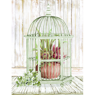 " Caged Beauty II "