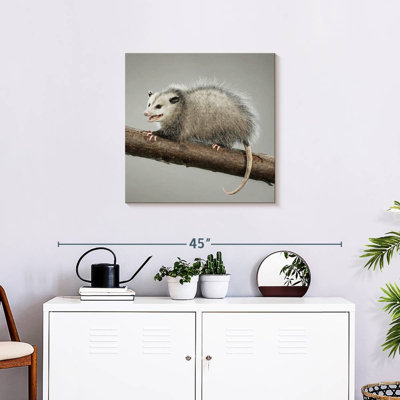 Brampt Snarky Opossum
