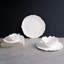 Vida Melamine Dinner Plate
