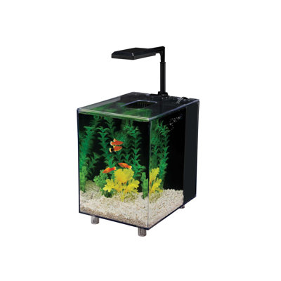 Ensemble d'aquarium de 2 gallons nano Prism incluant un filtre intégré, deux cartouches de filtration, une lumière à DEL télescopique et un couvercle teinté