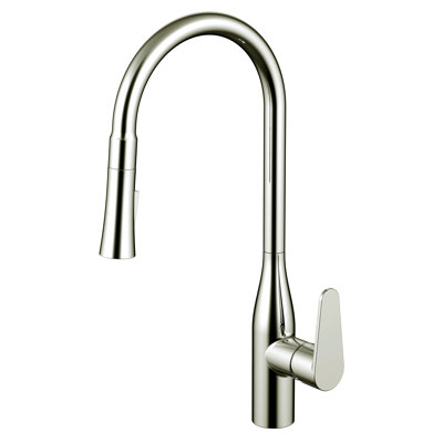 Daweier Pull Out Kitchen Faucet