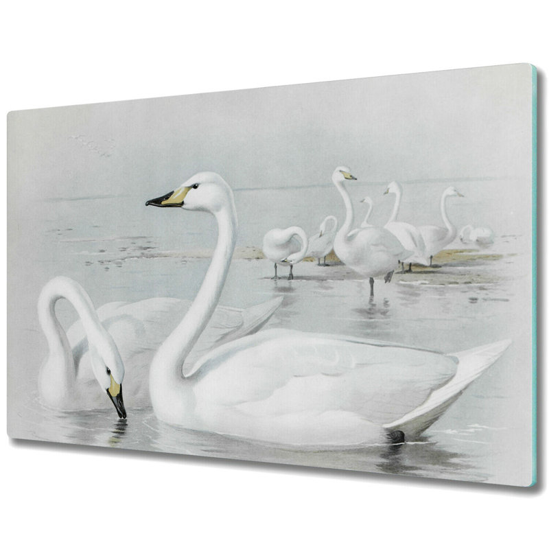 Paraiso Tempered Glass Swans Lake Chopping Board, 52cm x 60cm