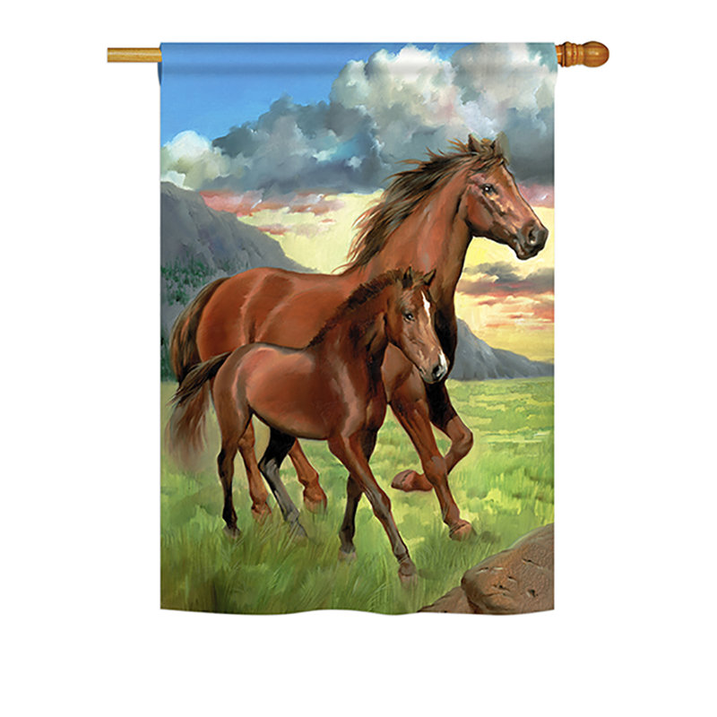 Drapeau de maison Carmack Americana, H 40 po x l 28 po