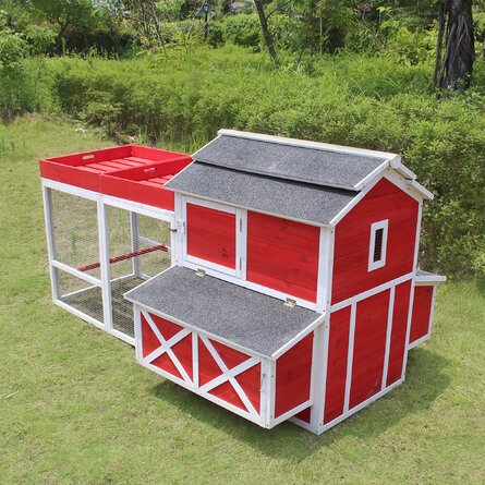 Hopwood 15.1 Square Feet Chicken Coop with Chicken Run For Up To 3 Chickens