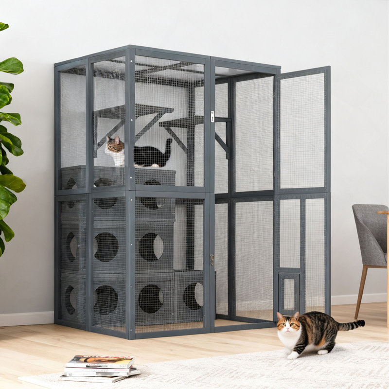 Tablettes d'extérieur pour chat Catio