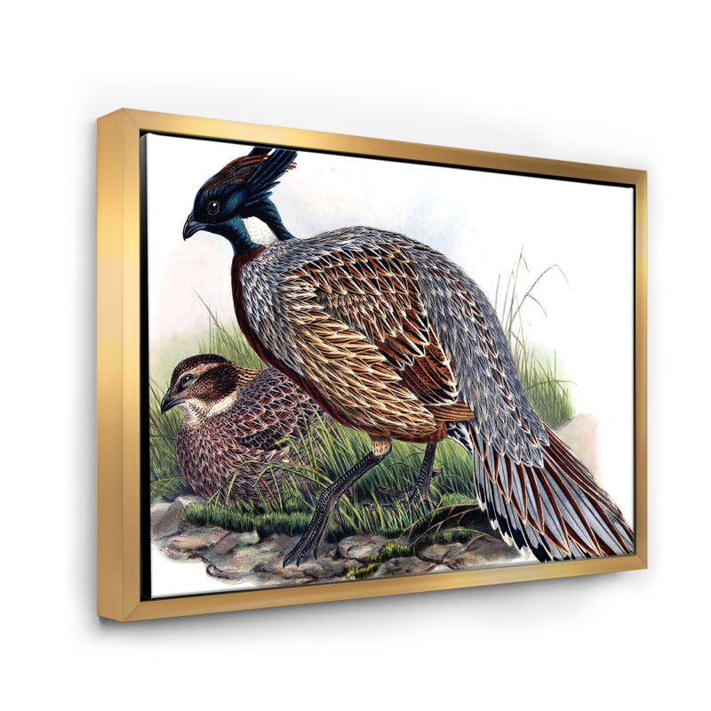Rétro animaux de campagne rétro - peinture sur toile, H 30 po x l 40 po x 1,5 po, Cadre flottant doré