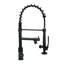 Belfry Kitchen Burhill Pull Out Kitchen Faucet-1275192395