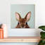 Crowle Peek A Boo Bunny-111887641