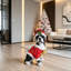 Charmante statue de Noël Boston Terrier en tenue de père Noël, parfaite pour les décorations et les fêtes festives