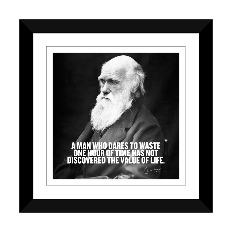 Citation de Charles Darwin, impression sur toile, Papier d'art encadré noir, Blanc, H 24 po x l 24 po x P 1 po