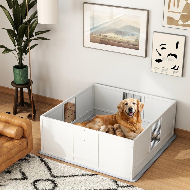 Boîte de mise à l'eau pour chien de grande taille - panneaux amovibles, l 47,2 po x l 48,8 po x H 18,9