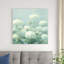 Hortensia blanc sauge de jardin-1016035063-983639193-983639190