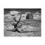 «Black and White Desert View V» par David Drost - reproduction de photo sur toile-1698766780