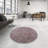 Oriental Indoor Rug-876409088