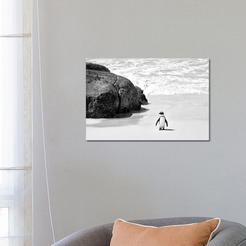 Penguin At Boulders Beach by Philippe Hugonnard - Gallery-Wrapped Canvas Giclée on Canvas, Wrapped Canvas