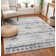 Area Rug