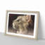 Curious Cat - Picture Frame Graphic Art Print-56708728-56708726