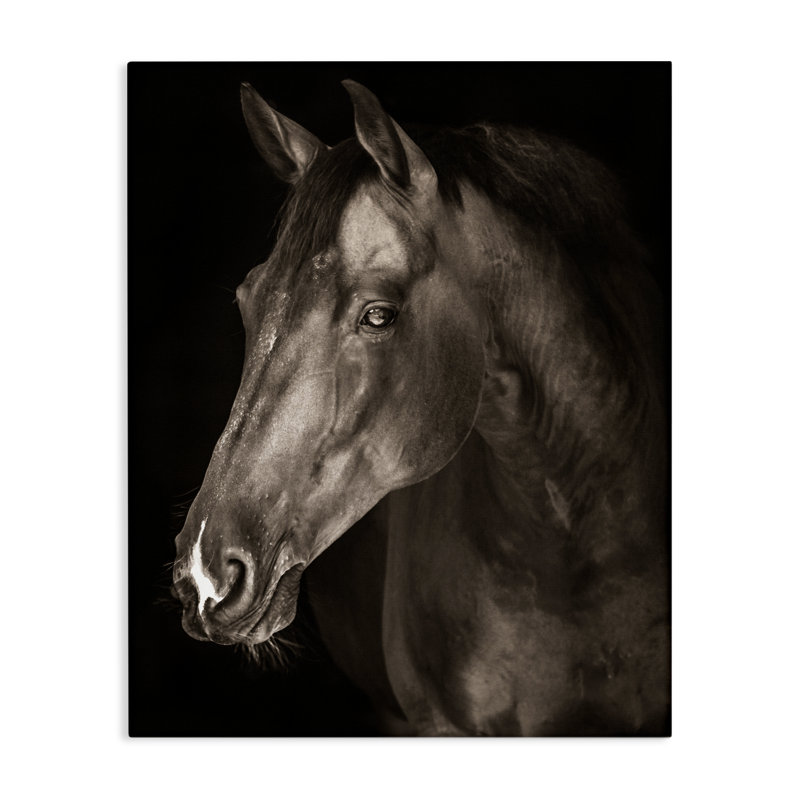 «Strong Stallion Horse Portrait Canvas» par Marcus Prime, H 20 po x l 16 po