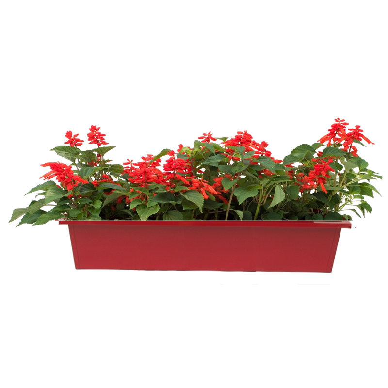 Venuti Metal Planter Box, Red