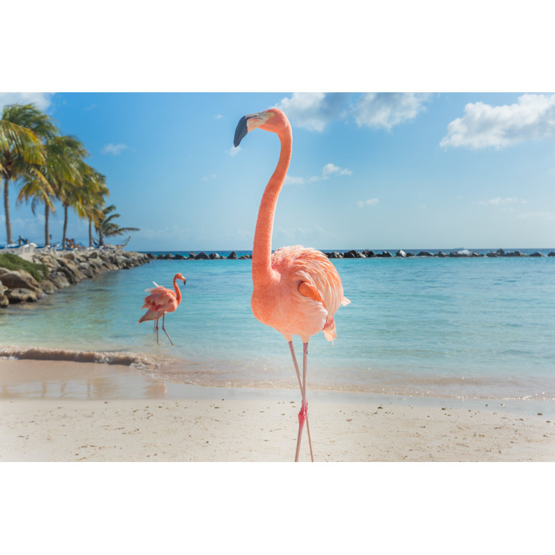 Three Flamingos - Wrapped Canvas Print, 30cm H x 46cm W x 3.8cm D
