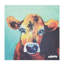 « bess cow », reproduction d’impression sur toile