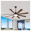 Ventilateur de plafond intérieur / extérieur 72 pouces avec lumière et télécommande, conception à 8 pales en noir et rouge