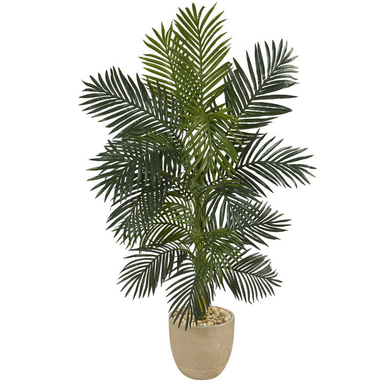 60'' Faux Palm Tree in Fiber Clay Planter