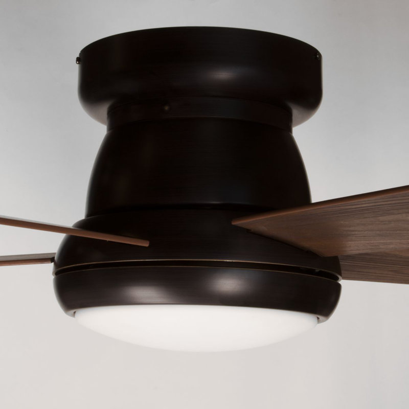 Vox 52'' Ceiling Fan with LED Lights, Black with Brown Blades