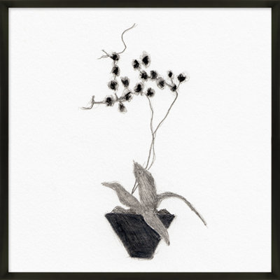 Orchid Study 2 Print by Simon Schneiderman