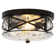 Alixandra 2-Light Flush Mount Glass Ceiling Light with Metal Frame