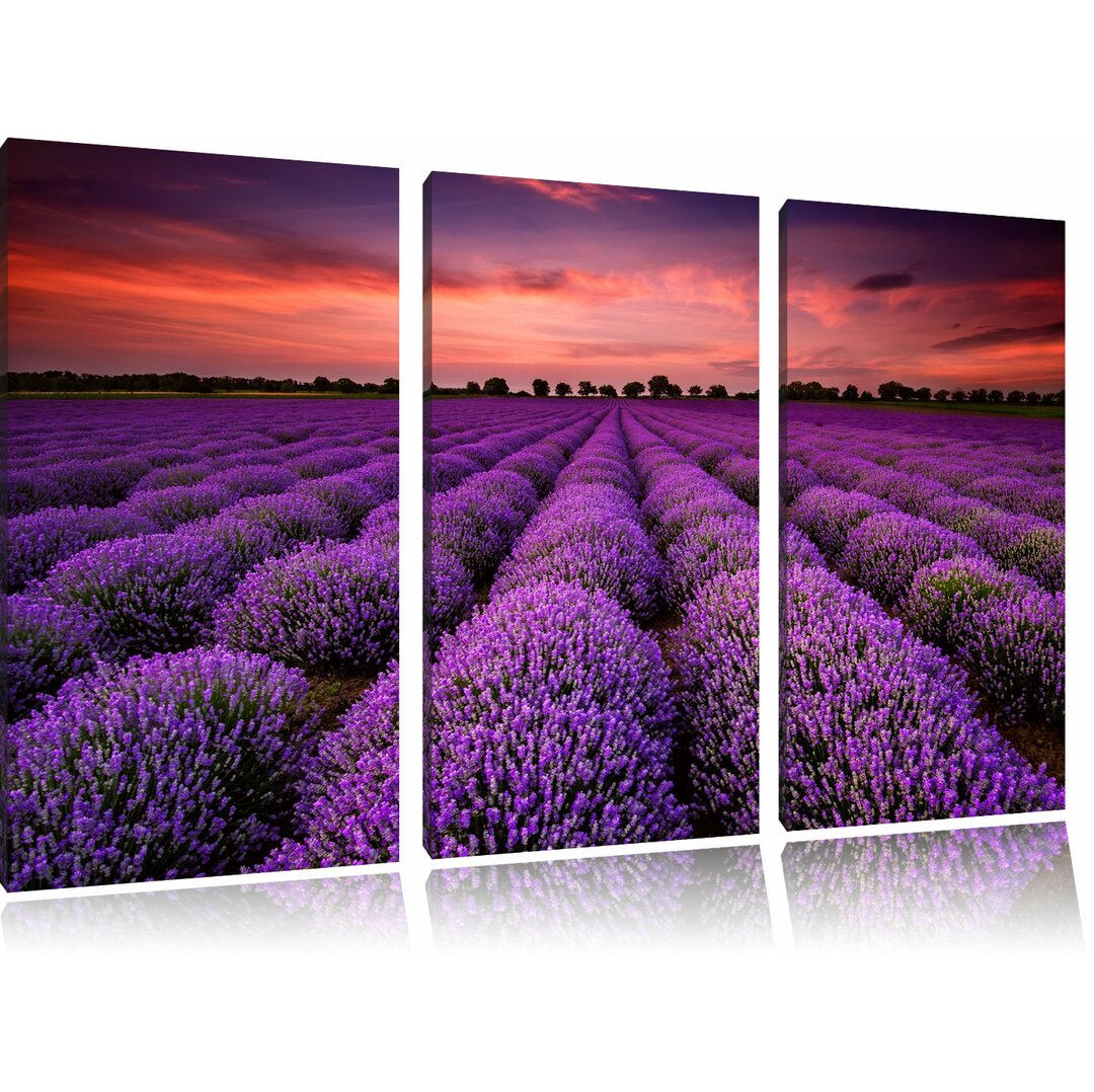 3-tlg. Leinwandbild-Set „Wunderschöne Lavendel Provence", Fotodruck