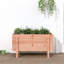 Meenakshi Wood Raised Garden Bed-1774958735-1774958730-1774958728
