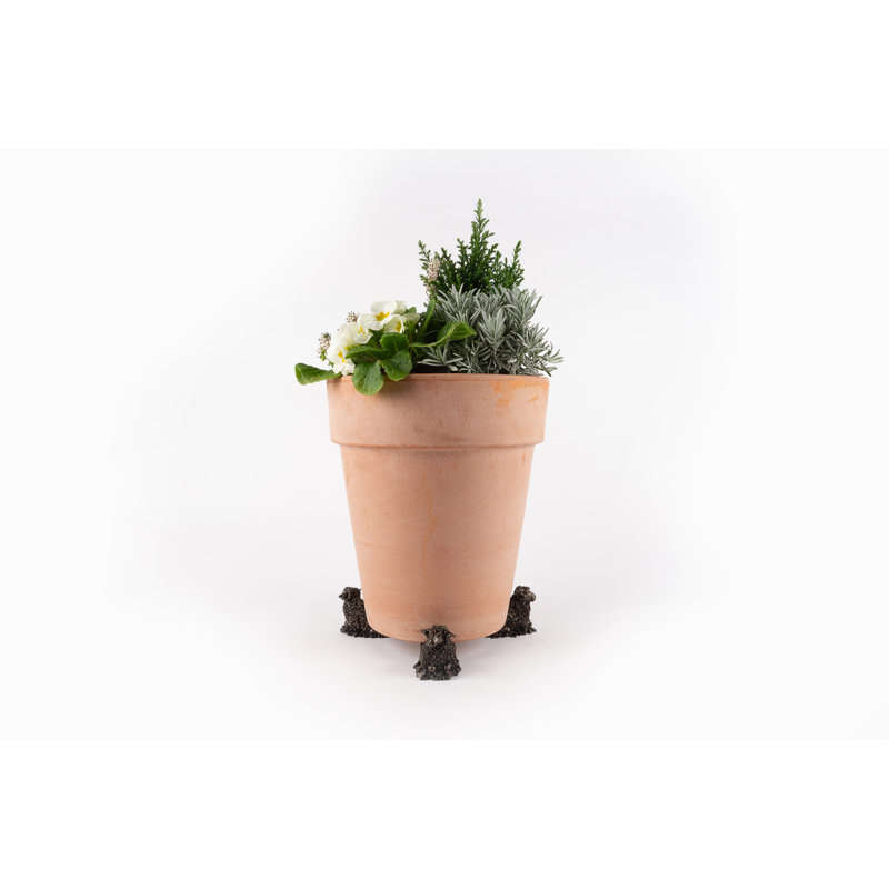 Pieds de jardinière Ram couleur bronze dans une boîte cadeau