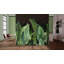 Tropical Collection 4 Panel Wall Mural 8.8' L x 110.2" W in A Tropical Forest Design-73448049
