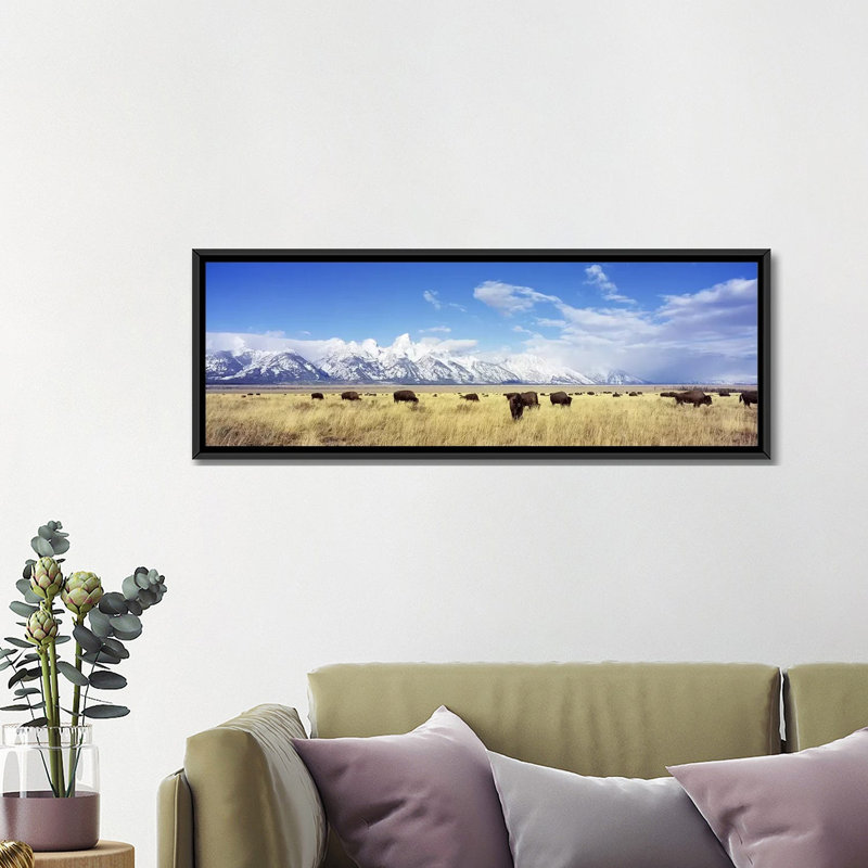 «Panoramic Bison Herd», parc national de Grand Teton, Wyoming, reproduction de photo sur toile, H 20 po x l 60 po x P 1,5 po