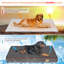 Lit pour chien Pillow-60530313