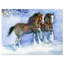 « campagne issues running », impression-34277000-29491669