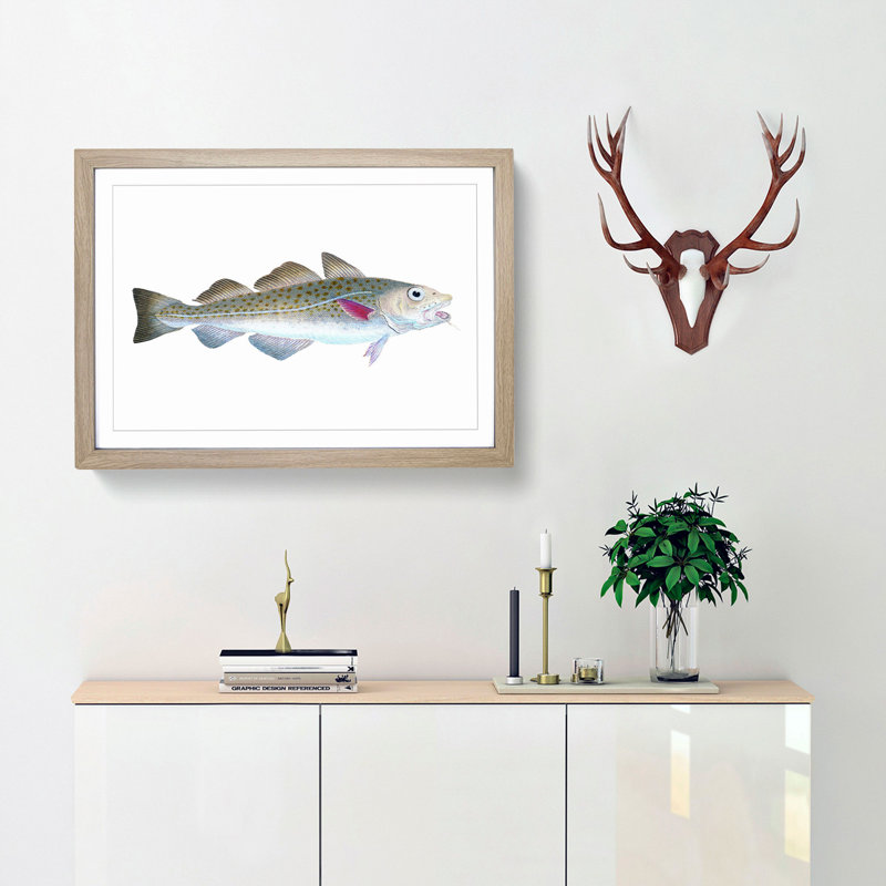 Atlantic Cod Fish by Edward Donovan - Framed Print, Oak Framed, 33cm H x 45cm W x 2cm D