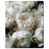 Gallery Wrapped is unavailable