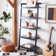 Alexzander Ladder Bookcase