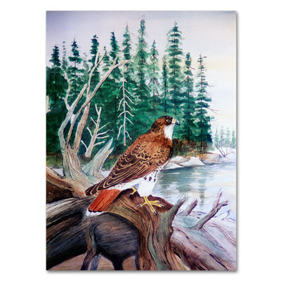 'Red Tailed Hawk' Graphic Art Print on Wrapped Canvas
