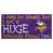 Minnesota Vikings